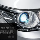 지존디자인 티스토리