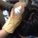 초코헤어샵 - 광산구 우산로96번길 78 | 초코헤어샵