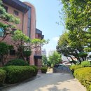 유림-52 네이버블로그