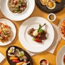 소노캄 고양 이미지