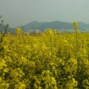 강변체육공원 이미지