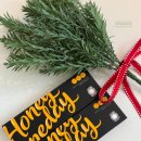 1001안경위드렌즈 이미지