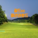 야간 골프 성지 인정…⛳ 골드CC 6월 야간 라운드 리얼 후기 (조명·그린·가성비 끝판왕)