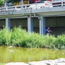 관악구 자전거 대여센터 이미지