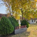 어울림어린이공원 | [용산 어린이정원] 느좋카페인 &#39;카페어울림&#39; @내돈내산