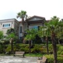 강정동-19 이미지