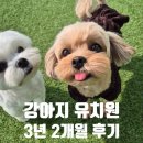 기쁨유치원 | 광주애견유치원 3년2개월 후기