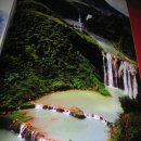 자연하모니 이미지