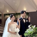 더하루 | 웨딩 본식 아이폰스냅 '하루스냅' THE HARU 더하루 찐 후기 !