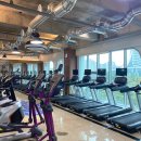 369피트니스 이미지