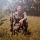 중간상사리 이미지