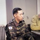 라이브사랑벌 이미지