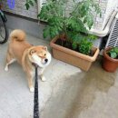 신성축산 이미지