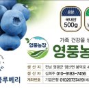 영풍농장 네이버블로그
