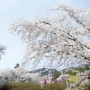 덕천