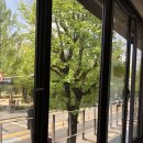 쪼아저씨네파스타 | 전대후문 파스타 맛집 추천 쪼아저씨네파스타 솔직 후기