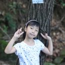 서울수송초등학교 이미지