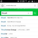 thrush 뜻 엄청 이상해; 이미지