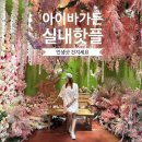 퍼피월드제주 | 제주 아이바가든 솔직후기 애월 실내 가볼만한곳 소요시간 총정리
