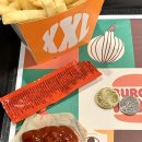 국 빈 | 프라하→빈 레지오젯 RegioJet 기차 비즈니스 탑승 후기 (동유럽 자유여행 ⑫)