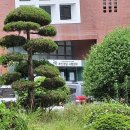 청운휴게실 | 요양보호사 취득후기