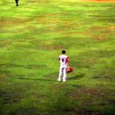 청주야구장 이미지