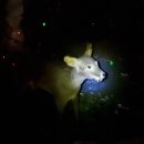 여주곤충박물관 이미지