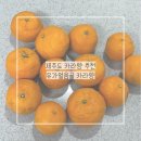 유가농장 | 제주도 한라봉 유가얼음골 카라향 2kg 주문후기