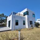 돈키호테공인중개사사무소 이미지