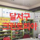 크린토피아대구달서