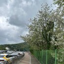 자라마을 | 노무현 대통령 생가 봉하마을 화포천 앞 조용한 시골마을 힐링 여행 후기