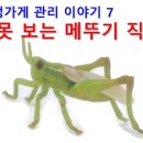 구멍가게 7. 손해 못 보는 메뚜기 직원. 이미지