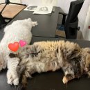 동광로1길 99 (1) 이미지