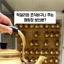 영월계곡 느티별캠핑장 이미지