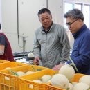 춘천원예농협 산지유통센터 이미지