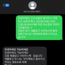 희망청과 | [W1]남자친구 부모님 첫인사 선물 싱싱프룻 과일바구니 내돈내산 후기(feat.할인팁)