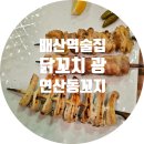 배산집 | 연산동술집 퇴근길 혼술 성지 '닭꼬치 광' 솔직후기 배산역 맛집 추천