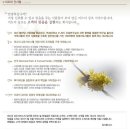 미드미상조 이미지