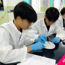 인천청호중학교 이미지