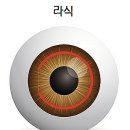 익산푸른안과의원 이미지