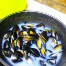 구산면588 이미지