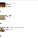 타란센터 | 진짜 간만에 새로운 종의 타란튤라 입양<feat.타란센터 택배 입양후기>