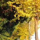 서호동-12 이미지