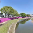 양지천1 이미지