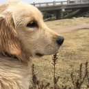 살랑살랑 이미지