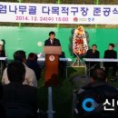 중구다목적구장 이미지