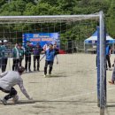 신녕초교 이미지