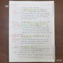 자연에서 얻은 참다운 삶 | 빛소영 아웃풋스쿨 자신업 후기 | AI 시대, 정답보다 필요한 건 삶의 기준과 질문