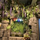 세븐일레븐 안성공도제일점 | 안성 공도 실내 동물원 “쥬쥬핑월드” 방문 후기