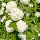 경기옛길 의주길 제5길 임진나루길 이미지